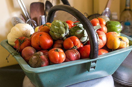 Tomatoes from the garden