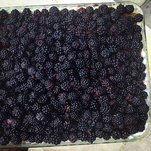 France: Loire & Burgundy