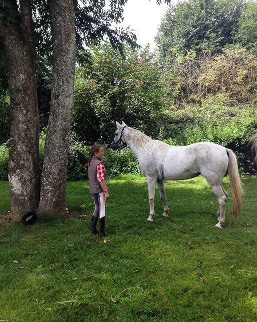 France: Loire & Burgundy