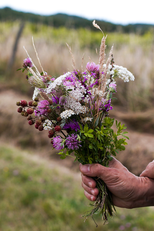 France: Loire & Burgundy
