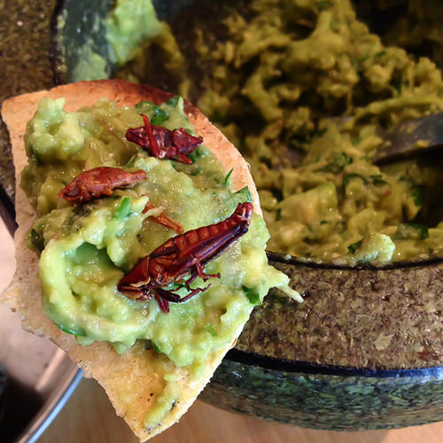 Susana Trilling Mexican Dinner