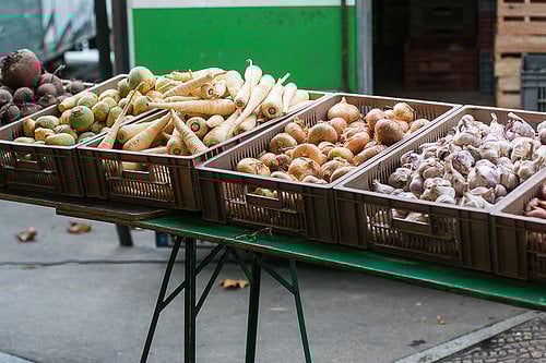 onions, parsnips and garlic