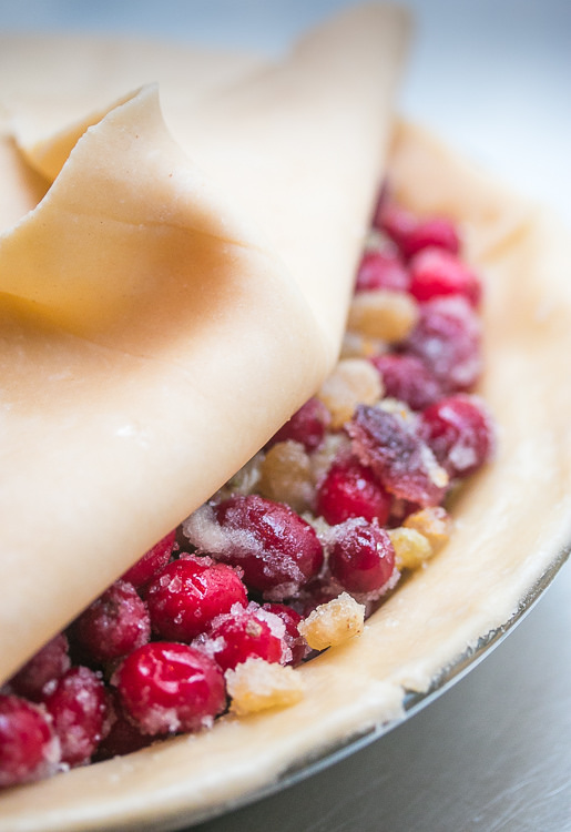 Cranberry Raisin Pie