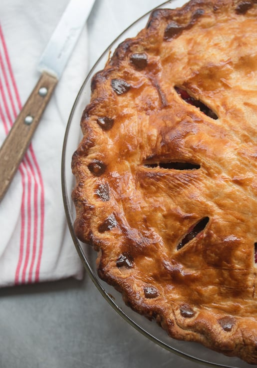 Cranberry Raisin Pie