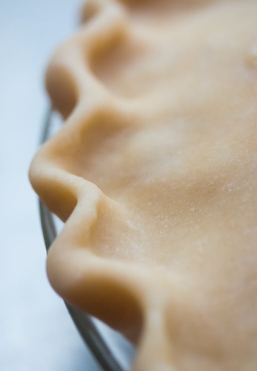 Cranberry Raisin Pie