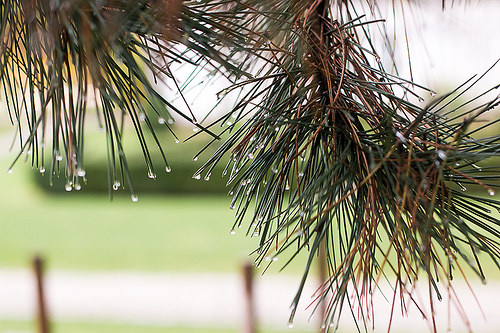 les Sources de Caudalie