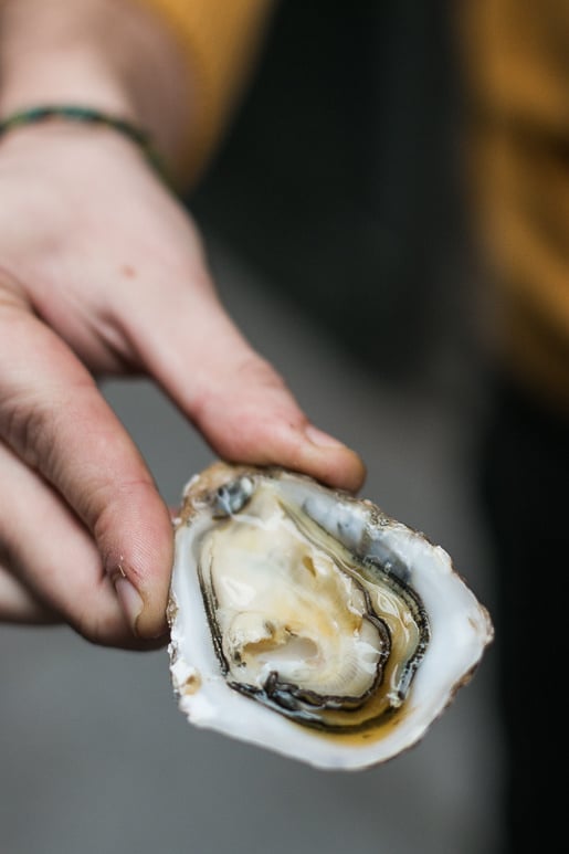 Paris Producers Fรชte