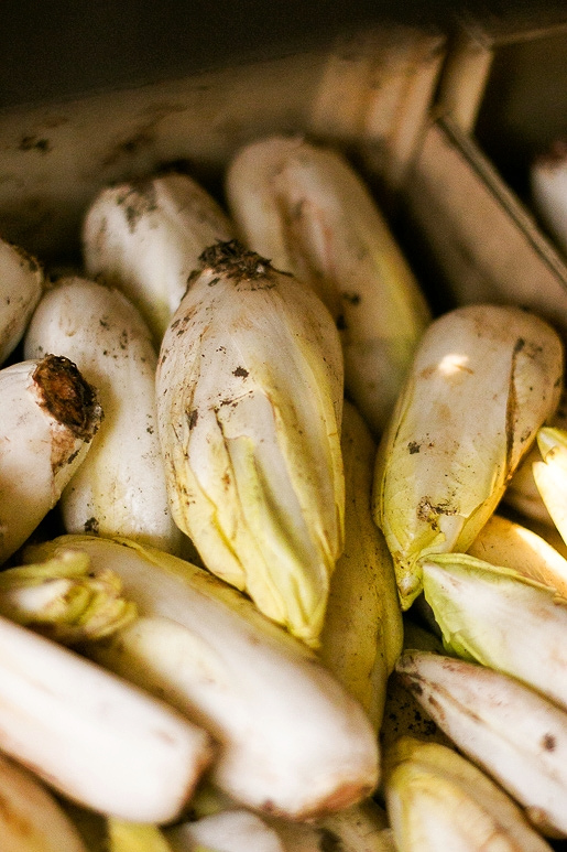 Paris Producers Fรชte - Belgian endive