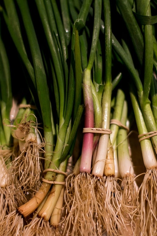 Paris Producers Fรชte