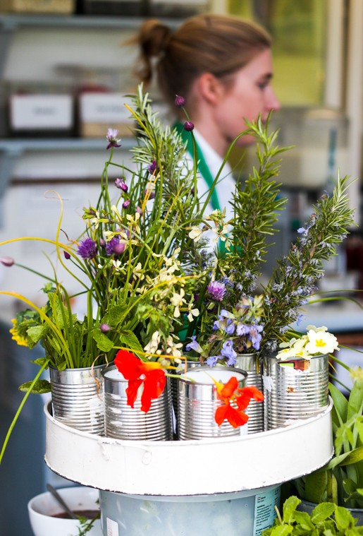 Ballymaloe kitchen herbs