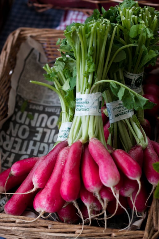 Midleton Farmers market Cork Ireland Ballymaloe_-5