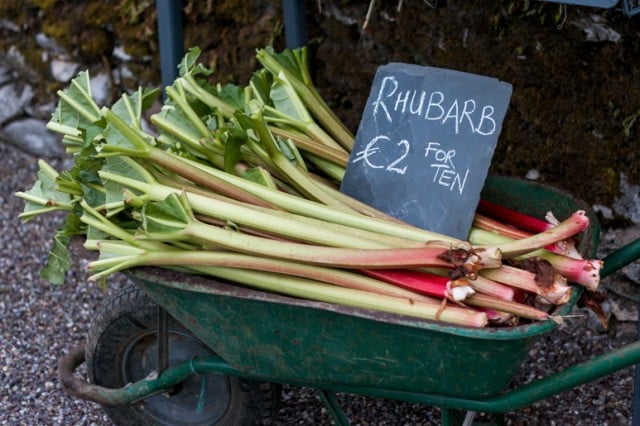 Rhubarb