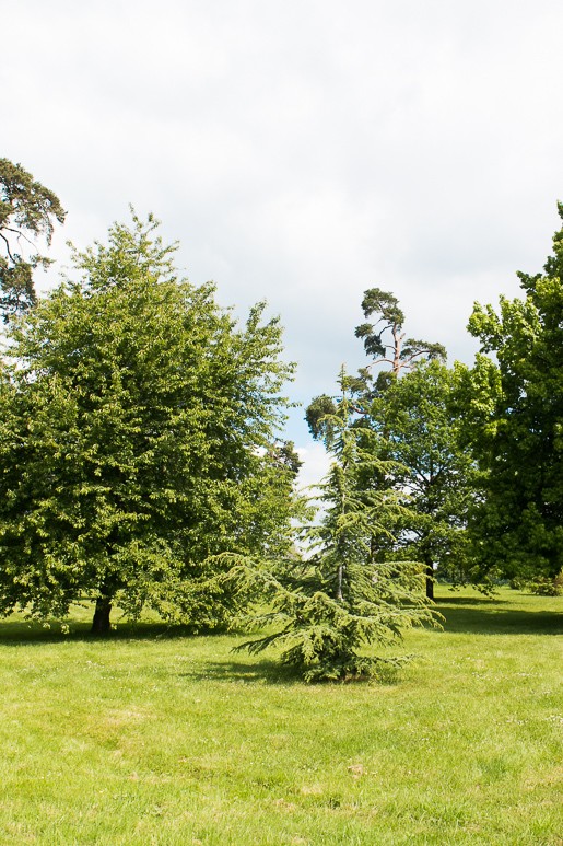 Alain Ducasse Picnic at Versailles, France