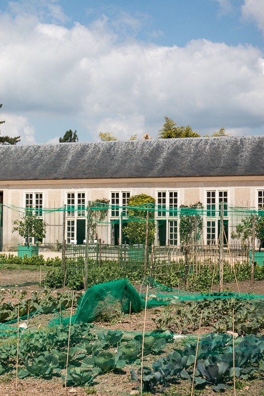 Queen's Garden at Versailles