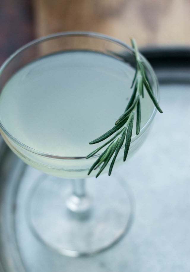 Rosemary Gimlet Cocktail Recipe