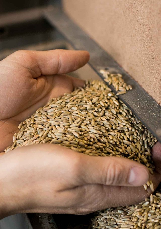 Breukling Distilling Chun Up Cocktail Gin-5