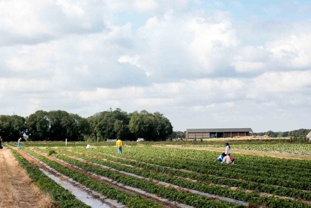 La Ferme de Viltain farm in France