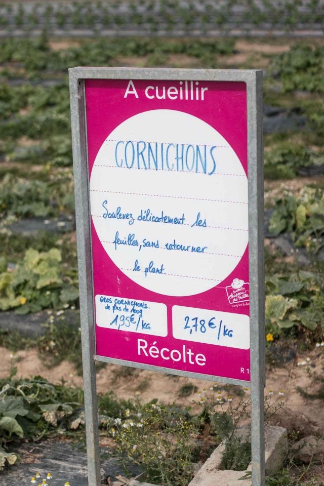 La Ferme de Viltain cornichons sign