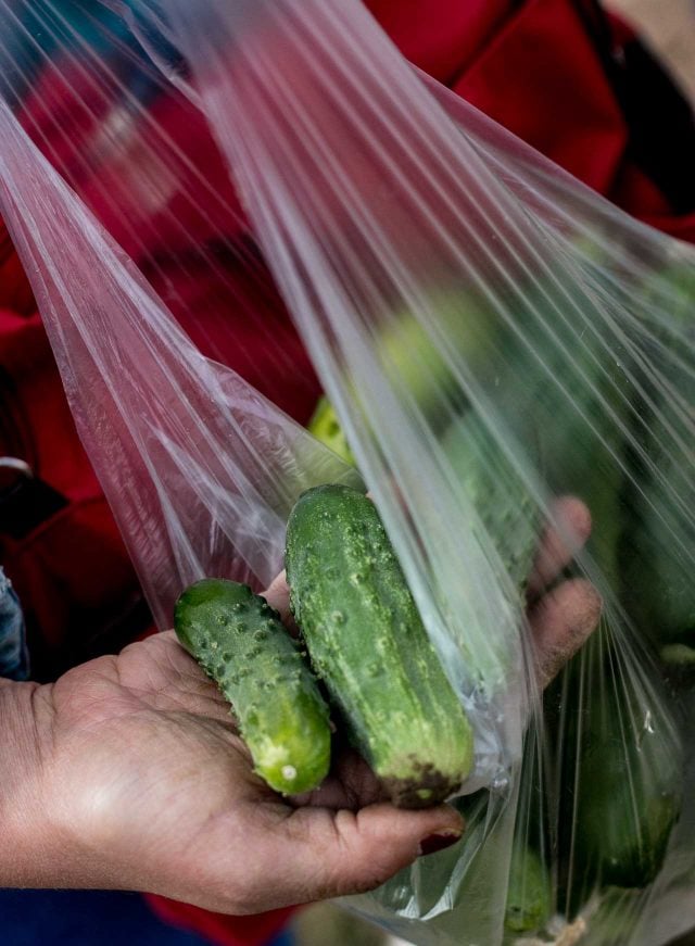 La Ferme de Viltain fresh cornichons