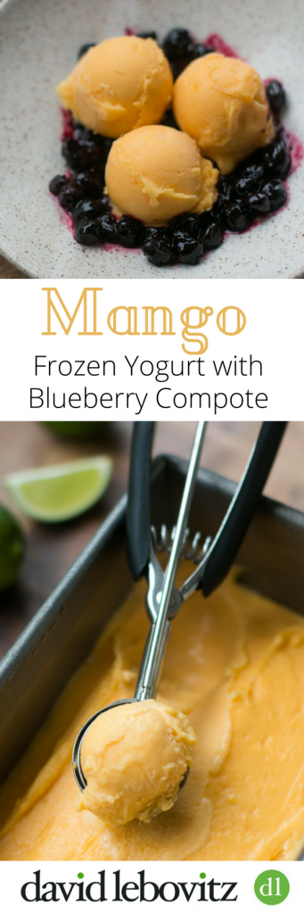 Ripe, juicy mangoes make a lovely Mango Frozen Yogurt, served with a fruity blueberry compote - the perfect accompaniment!