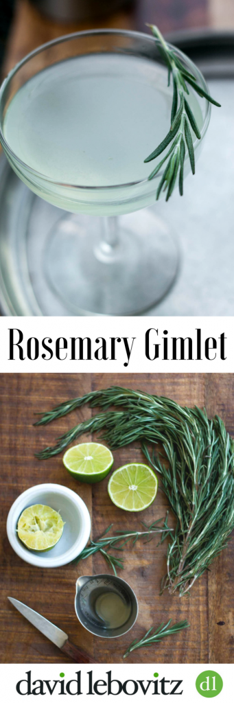 Rosemary Gimlet Cocktail Recipe